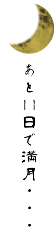 月齢